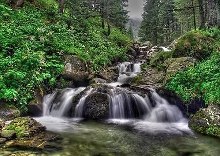 Villa Stresov Borovets Eksteriør billede