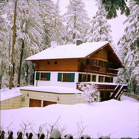 Villa Stresov Borovets Eksteriør billede